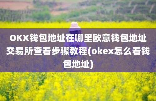 OKX钱包地址在哪里欧意钱包地址交易所查看步骤教程(okex怎么看钱包地址)