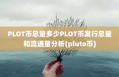 PLOT币总量多少PLOT币发行总量和流通量分析(pluto币)