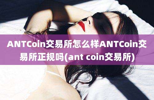 ANTCoin交易所怎么样ANTCoin交易所正规吗(ant coin交易所)