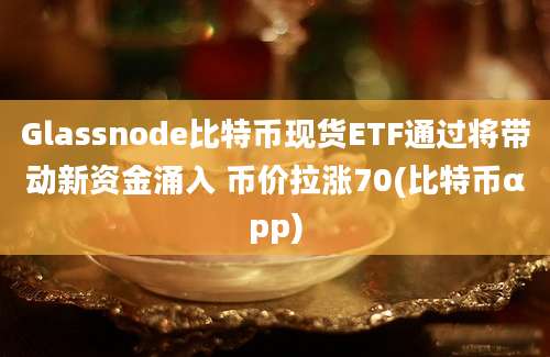 Glassnode比特币现货ETF通过将带动新资金涌入 币价拉涨70(比特币αpp)