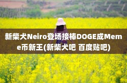 新柴犬Neiro登场接棒DOGE成Meme币新王(新柴犬吧 百度贴吧)