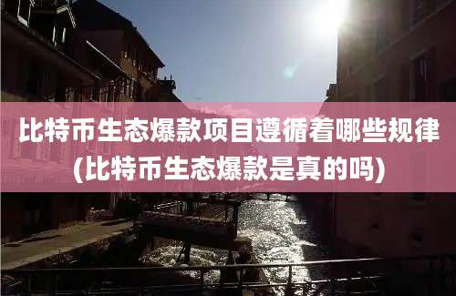 比特币生态爆款项目遵循着哪些规律(比特币生态爆款是真的吗)