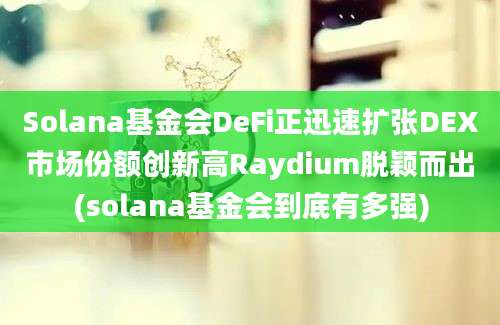 Solana基金会DeFi正迅速扩张DEX市场份额创新高Raydium脱颖而出(solana基金会到底有多强)