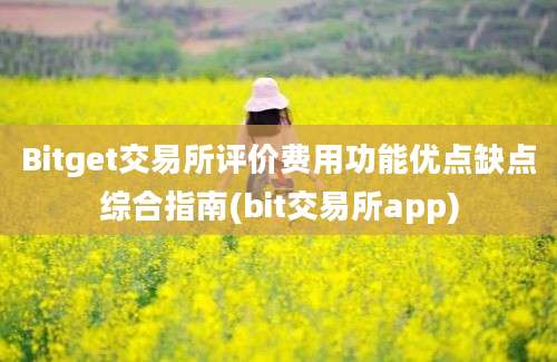 Bitget交易所评价费用功能优点缺点综合指南(bit交易所app)