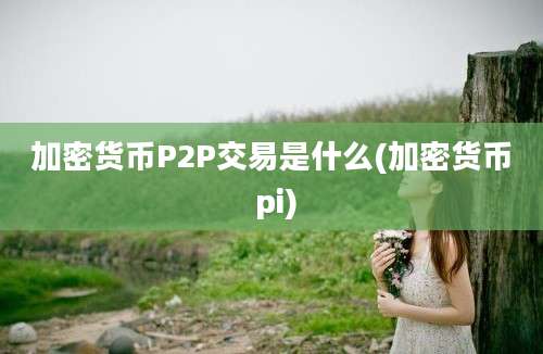 加密货币P2P交易是什么(加密货币 pi)