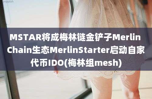 MSTAR将成梅林链金铲子Merlin Chain生态MerlinStarter启动自家代币IDO(梅林组mesh)