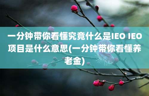 一分钟带你看懂究竟什么是IEO IEO项目是什么意思(一分钟带你看懂养老金)