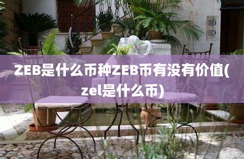 ZEB是什么币种ZEB币有没有价值(zel是什么币)