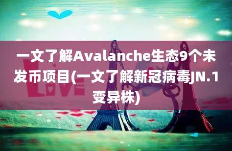 一文了解Avalanche生态9个未发币项目(一文了解新冠病毒JN.1变异株)