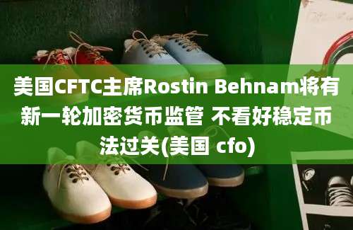 美国CFTC主席Rostin Behnam将有新一轮加密货币监管 不看好稳定币法过关(美国 cfo)