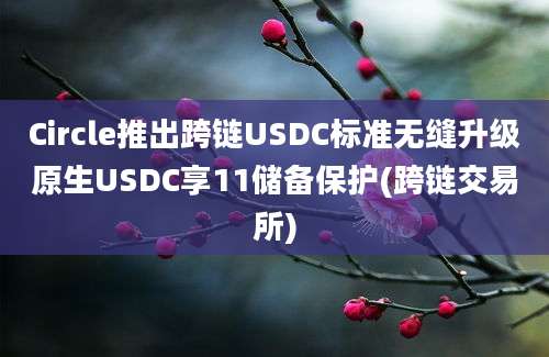 Circle推出跨链USDC标准无缝升级原生USDC享11储备保护(跨链交易所)