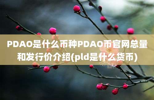 PDAO是什么币种PDAO币官网总量和发行价介绍(pld是什么货币)