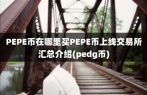 PEPE币在哪里买PEPE币上线交易所汇总介绍(pedg币)