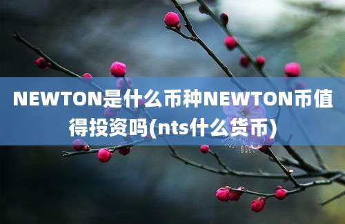 NEWTON是什么币种NEWTON币值得投资吗(nts什么货币)