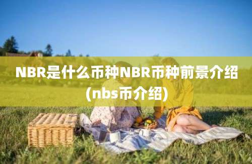 NBR是什么币种NBR币种前景介绍(nbs币介绍)