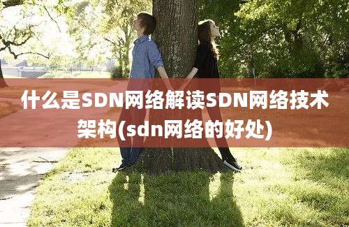 什么是SDN网络解读SDN网络技术架构(sdn网络的好处)