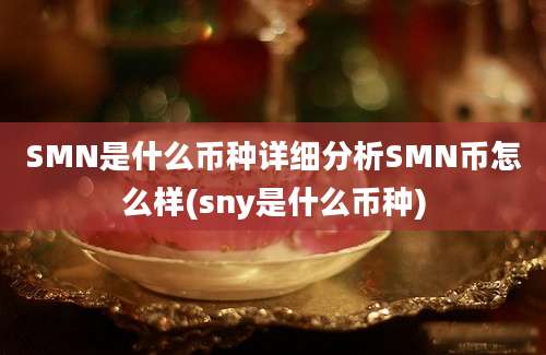 SMN是什么币种详细分析SMN币怎么样(sny是什么币种)