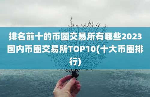 排名前十的币圈交易所有哪些2023国内币圈交易所TOP10(十大币圈排行)