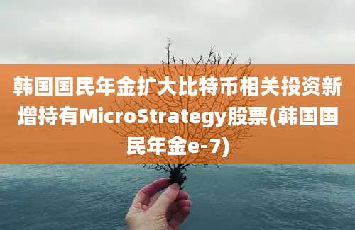 韩国国民年金扩大比特币相关投资新增持有MicroStrategy股票(韩国国民年金e-7)