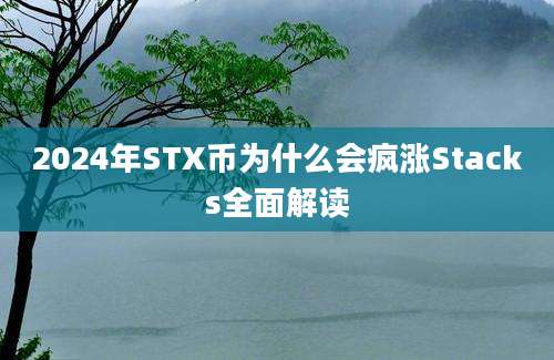 2024年STX币为什么会疯涨Stacks全面解读