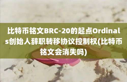 比特币铭文BRC-20的起点Ordinals创始人辞职转移协议控制权(比特币铭文会消失吗)