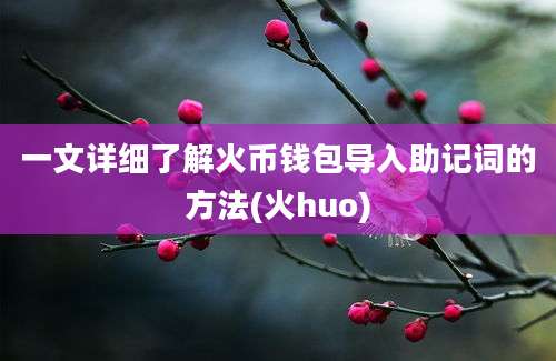 一文详细了解火币钱包导入助记词的方法(火huo)