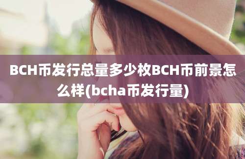 BCH币发行总量多少枚BCH币前景怎么样(bcha币发行量)