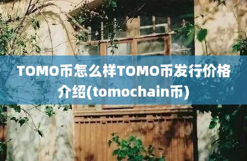 TOMO币怎么样TOMO币发行价格介绍(tomochain币)