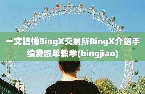 一文搞懂BingX交易所BingX介绍手续费跟单教学(bingjiao)