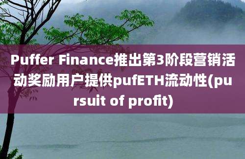 Puffer Finance推出第3阶段营销活动奖励用户提供pufETH流动性(pursuit of profit)