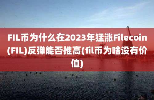 FIL币为什么在2023年猛涨Filecoin(FIL)反弹能否推高(fil币为啥没有价值)