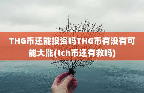 THG币还能投资吗THG币有没有可能大涨(tch币还有救吗)