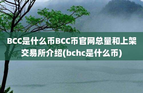 BCC是什么币BCC币官网总量和上架交易所介绍(bchc是什么币)