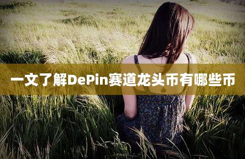 一文了解DePin赛道龙头币有哪些币