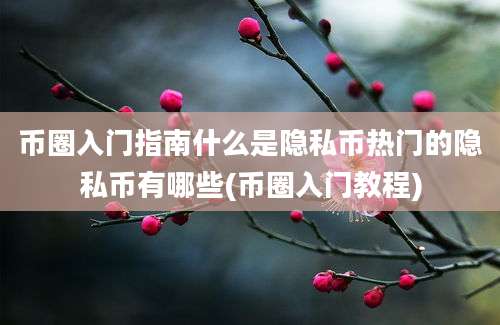 币圈入门指南什么是隐私币热门的隐私币有哪些(币圈入门教程)