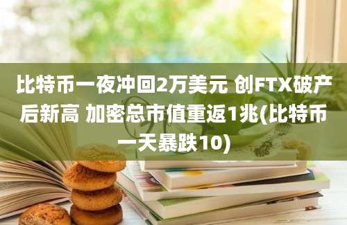 比特币一夜冲回2万美元 创FTX破产后新高 加密总市值重返1兆(比特币一天暴跌10)