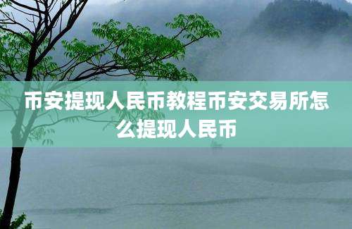 币安提现人民币教程币安交易所怎么提现人民币