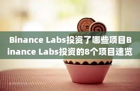 Binance Labs投资了哪些项目Binance Labs投资的8个项目速览