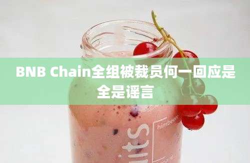 BNB Chain全组被裁员何一回应是全是谣言