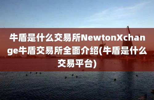 牛盾是什么交易所NewtonXchange牛盾交易所全面介绍(牛盾是什么交易平台)