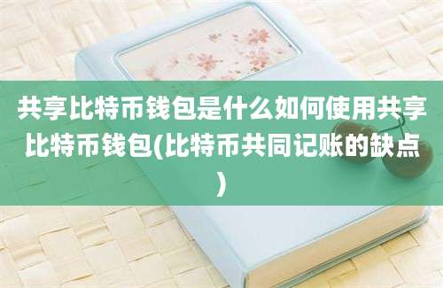 共享比特币钱包是什么如何使用共享比特币钱包(比特币共同记账的缺点)