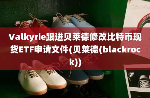 Valkyrie跟进贝莱德修改比特币现货ETF申请文件(贝莱德(blackrock))