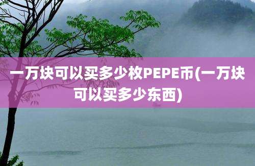 一万块可以买多少枚PEPE币(一万块可以买多少东西)