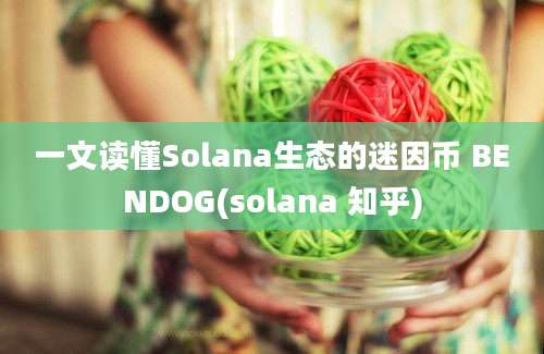 一文读懂Solana生态的迷因币 BENDOG(solana 知乎)