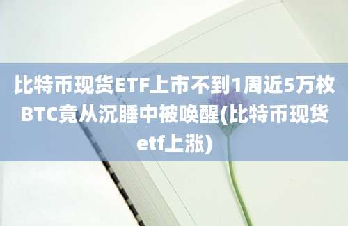 比特币现货ETF上市不到1周近5万枚BTC竟从沉睡中被唤醒(比特币现货etf上涨)