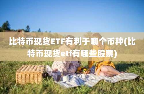 比特币现货ETF有利于哪个币种(比特币现货etf有哪些股票)