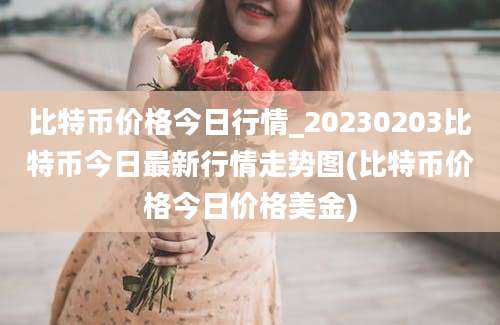 比特币价格今日行情_20230203比特币今日最新行情走势图(比特币价格今日价格美金)