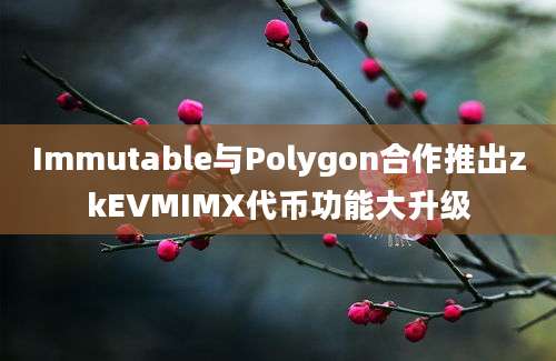 Immutable与Polygon合作推出zkEVMIMX代币功能大升级