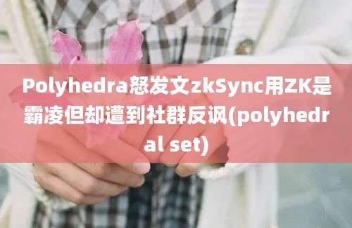 Polyhedra怒发文zkSync用ZK是霸凌但却遭到社群反讽(polyhedral set)