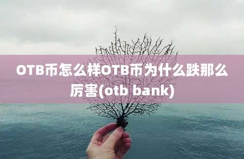 OTB币怎么样OTB币为什么跌那么厉害(otb bank)